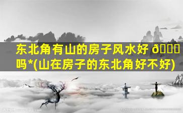 东北角有山的房子风水好 🍀 吗*
(山在房子的东北角好不好)